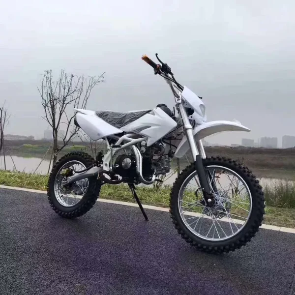 New Steel Frame 125cc Motorcycle High-speed Sports Racing Hydraulic Disc Brake 2-wheel Motorcycle - Image 2